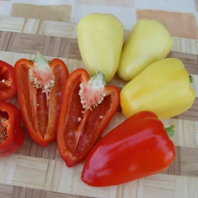 Paprika Zlata - Capsicum annuum - osivo papriky - 30 ks