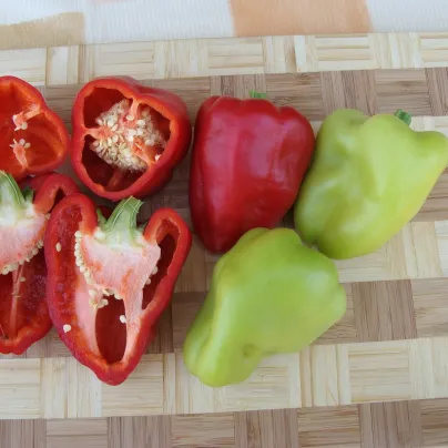 Paprika Andrea - Capsicum annuum - osivo papriky - 20 ks