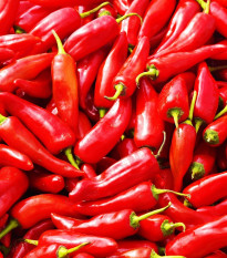 Paprika Hodonínská sladká - Capsicum annum - osivo papriky - 90 ks