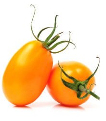 Rajče Datlo - Solanum lycopersicum - osivo rajčat - 25 ks
