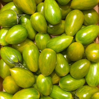 Rajče Artisan Green Tiger - Solanum lycopersicum - osivo rajčat - 5 ks
