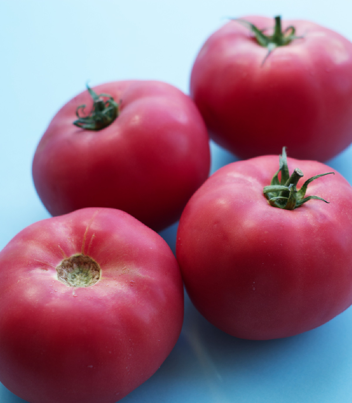 Rajče Big Pink F1 - Solanum lycopersicum - osivo rajčat - 7 ks
