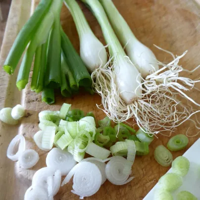 BIO Cibule jarní Bílý Lisabon - Allium cepa - bio osivo cibule - 100 ks