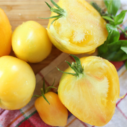 BIO Rajče Heart of Gold - Solanum lycopersicum - bio osivo rajčat- 10 ks