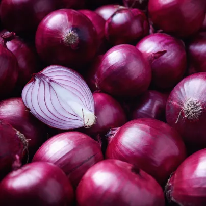 Cibule sazečka Red Ray F1 - Allium cepa - cibulky sazečky - 50 ks