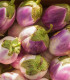 BIO Lilek Rosa Bianca - Solanum melongena - bio osivo lilku - 8 ks