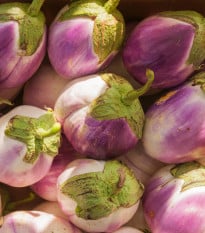 BIO Lilek Rosa Bianca - Solanum melongena - bio osivo lilku - 20 ks