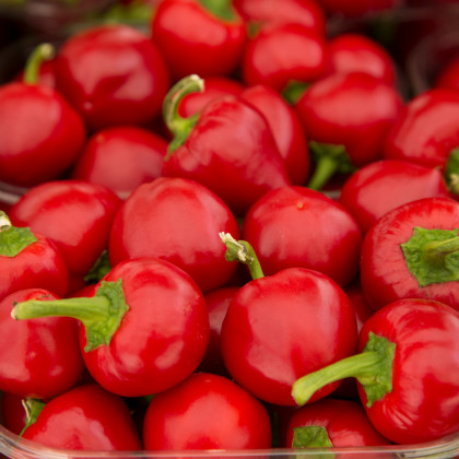 BIO Paprika červená Babybell - Capsicum annuum - bio osivo papriky - 10 ks