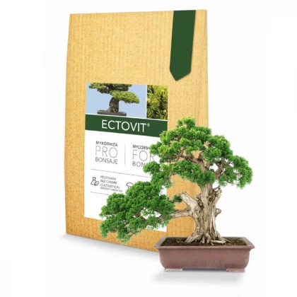 Ectovit Bonsai - Symbiom - mykorhizní přípravek pro bonsaje - 100 g