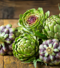 Artyčok Green Globe - Cynara scolymus - osivo artyčoku - 20 ks