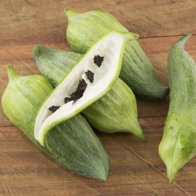 Ačokča - Cyclanthera pedata - osivo ačokči - 6 ks