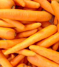 Mrkev pozdní Maxima F1 - Daucus carota - osivo mrkve - 900 ks