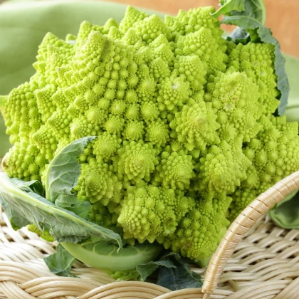 Brokolice Romanesco - Brassica oleracea L. - osivo brokolice - 250 ks