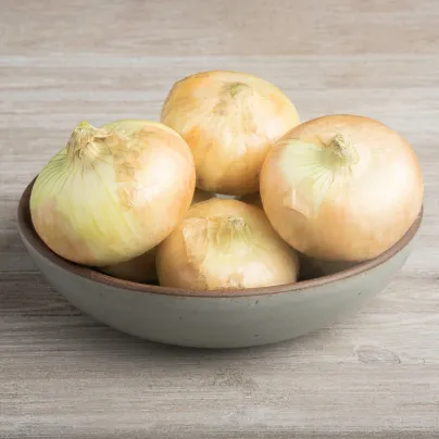 Cibule žlutá štutgartská - Allium cepa - osivo cibule - 250 ks