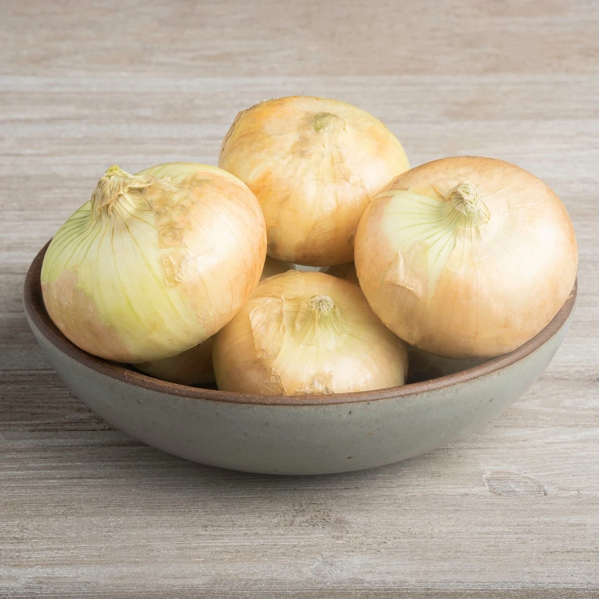 Cibule žlutá štutgartská - Allium cepa - osivo cibule - 250 ks