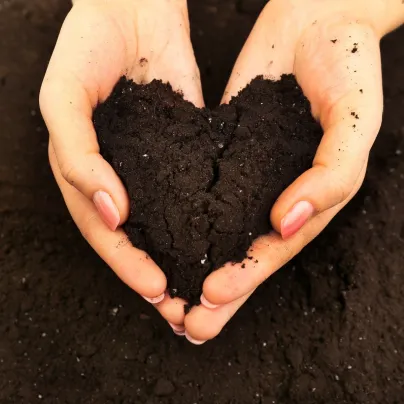 Substrát pro jahody a drobné ovoce - speciální substráty - 100 g