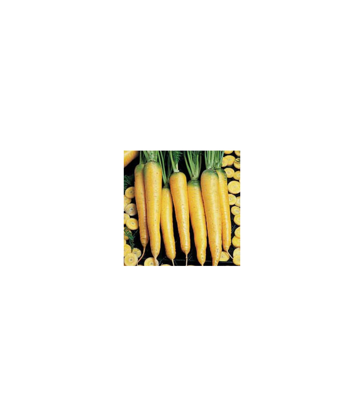 Mrkev žlutá - prodej semen mrkve - 1 gr