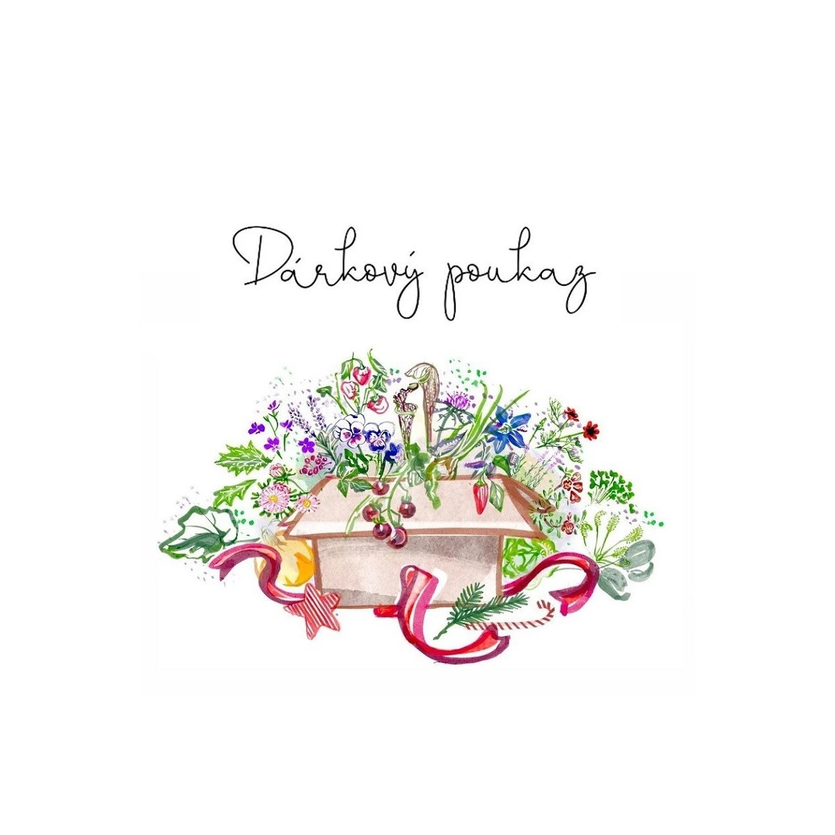 Vánoční poukázka - voucher v hodnotě 1500,- Kč