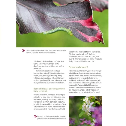 Moje motýlí zahrada - Nakladatelství Grada - knihy - 1 ks