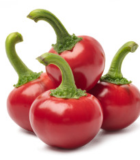 Chilli Satans Kiss - Capsicum annuum - osivo chilli - 7 ks