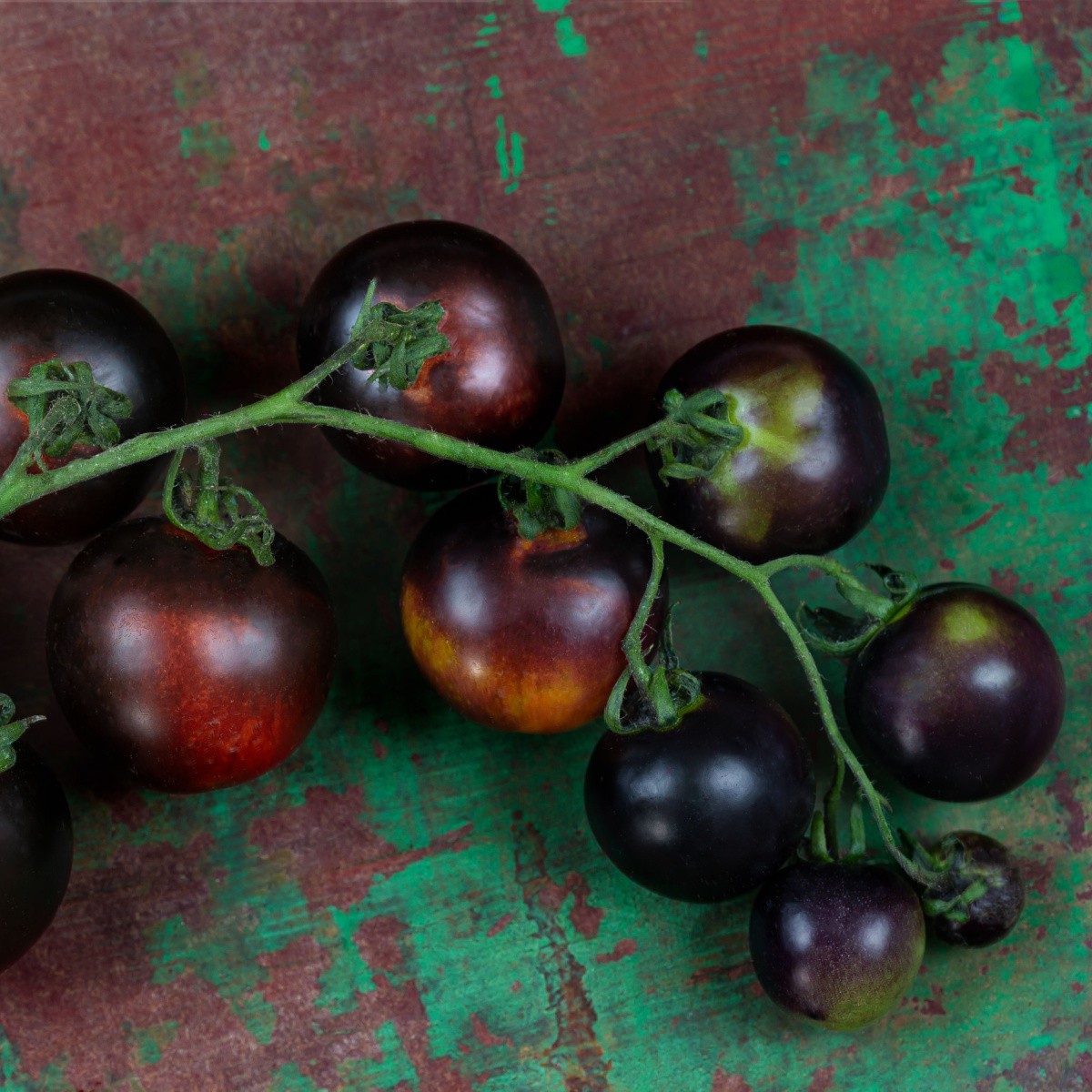 Rajče tyčkové černé Blackball - Solanum lycopersicum - osivo rajčat - 20 ks