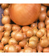 Cibule sazečka Štutgart - Allium cepa - cibulky sazečky - 250 g