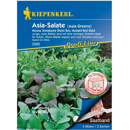 Semena asijských salátů - výsevný pásek - 5 m