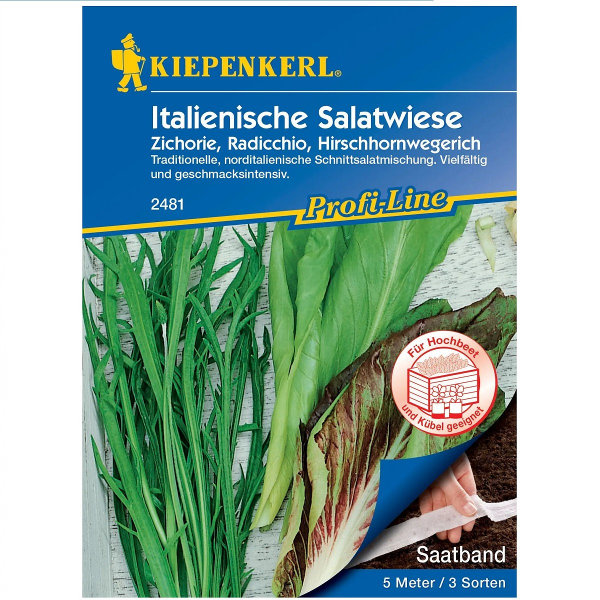 Semena italských salátů - výsevný pásek - 5 m