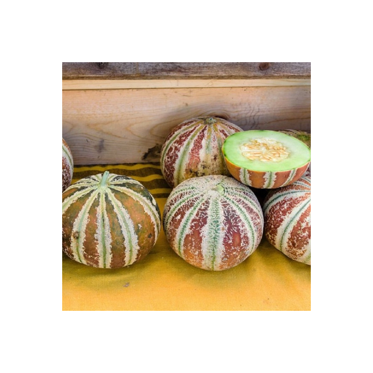 Meloun cukrový Kajari - Cucumis melo - osivo melounu - 6 ks