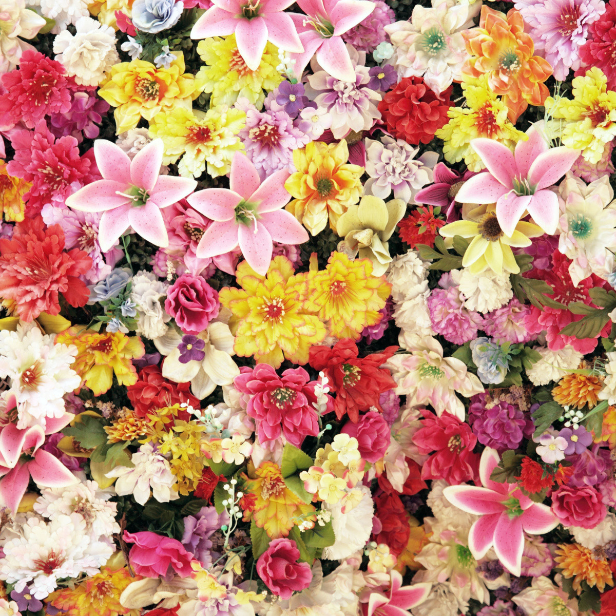 Směs chalupářských květů - výsevný pásek - 5 m