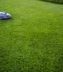 Trávník Comfort pro robotické sekačky - osivo Kiepenkerl - 1 kg