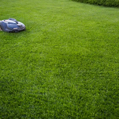 Trávník Comfort pro robotické sekačky - osivo Kiepenkerl - 1 kg