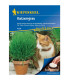 Semena kočičí trávy - výsevný disk - 5 ks