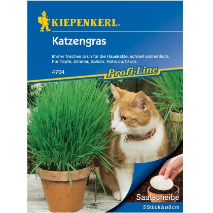 Semena kočičí trávy - výsevný disk - 5 ks