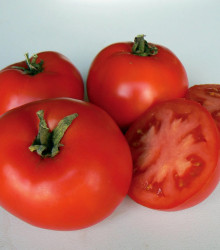 BIO Rajče Legend PhR - Solanum lycopersicum - bio osivo rajčat - 7 ks