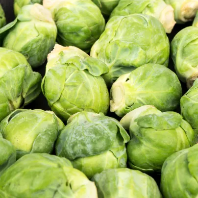 BIO Kapusta růžičková Hemera F1 - Brassica oleracea - bio osivo kapusty - 20 ks