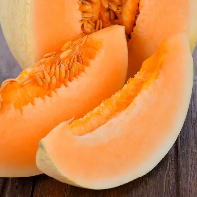 Meloun cukrový Sweet Granite - Cucumis melo - osivo melounu - 10 ks