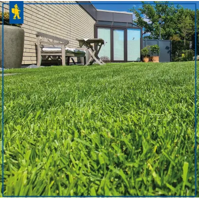 Trávník Comfort pro robotické sekačky – travní osivo – Kiepenkerl