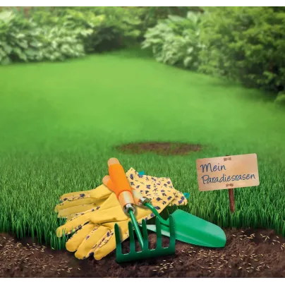 Trávník na dosetí – travní osivo – Kiepenkerl – směs