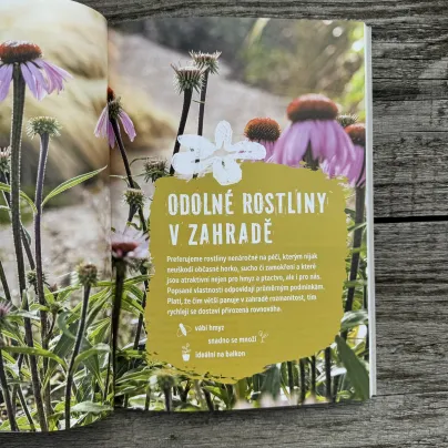 Zahrada bez zalévání - Nakladatelství Kazda - knihy - 1 ks