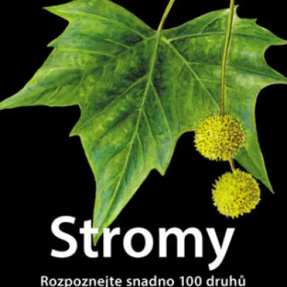 Stromy - Rozpoznejte snadno 100 druhů  - Nakladatelství Kazda - knihy - 1 ks