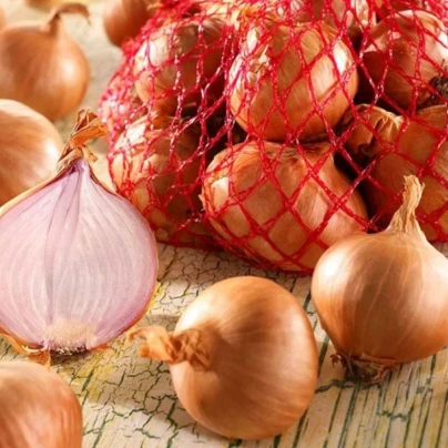 Cibule šalotka Red Sun - Allium cepa - cibule sazečky - 500 g