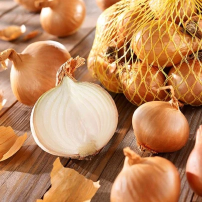 Cibule šalotka Golden Gourmet - Allium cepa - cibule šalotky - 250 g