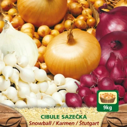 Směs sazeček - Allium cepa - 3 druhy cibulek - 150 g