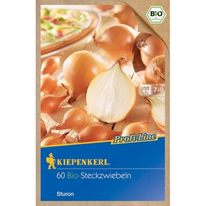 BIO Cibule sazečka Sturon - Allium Sturon - bio cibulky sazečky - 60 ks