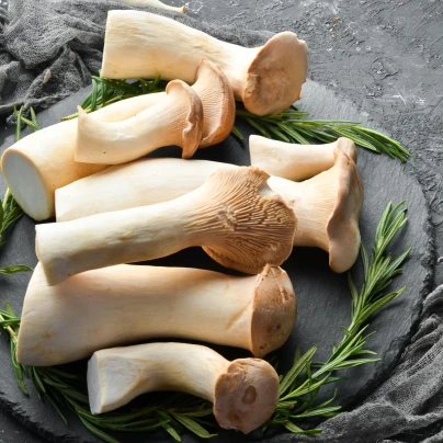 Hlíva královská máčková - Pleurotus eryngii - sadba - 250 ml