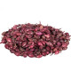 Cibule sazečka Karmen - Allium cepa - cibulky sazečky - 500 g