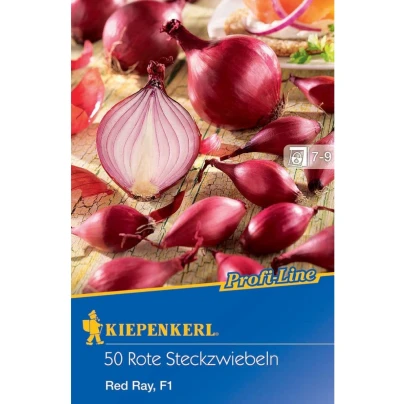 Cibule sazečka Red Ray F1 - Allium cepa - cibulky sazečky - 50 ks