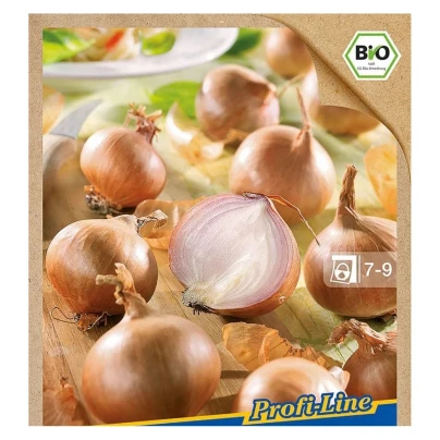 BIO Cibule šalotka Red Sun - Allium cepa - bio cibulky šalotky - 10 ks