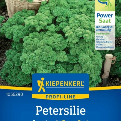 Petržel Grandeur - PowerSaat - Petroselinum crispum - osivo Kiepenkerl - 1 ks